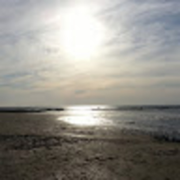 Meet your Posher, Eric - Picture 1 of 1